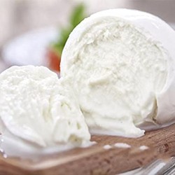 Mozzarella di bufala DOP