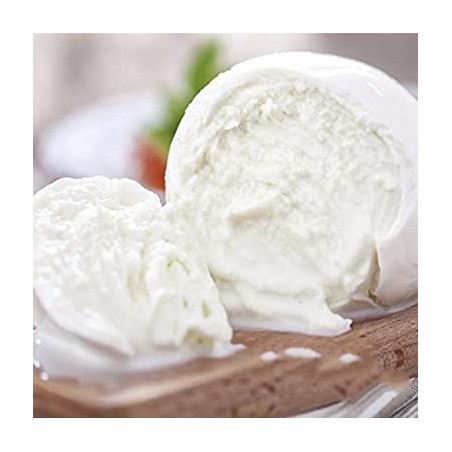 Mozzarella di bufala DOP