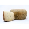Pecorino Sardo DOP