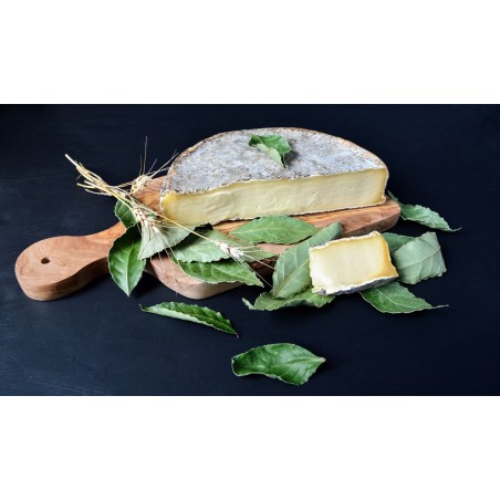 Saint Nectaire fermier AOP