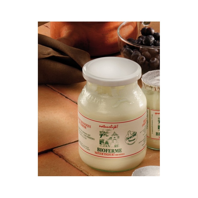 Yaourt nature 500g entier BIO